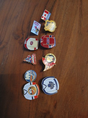 Vintage eishockey pins - vintage, (10