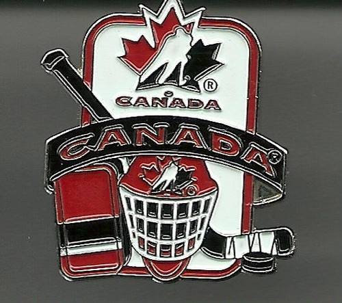 Eishockey pin verband team - pin,