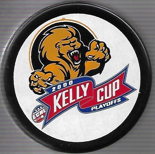 Eishockey puck echl playoff - puck,