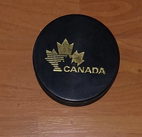 Official eishockey puck - official, team