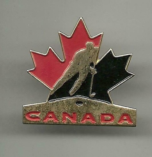Eishockey pin des teams - pin,