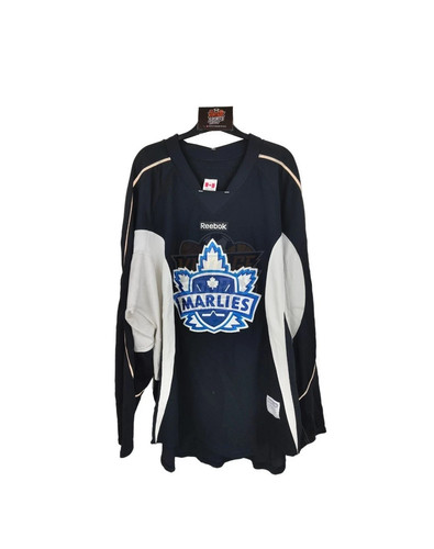 Player issue toronto marlies - toronto,