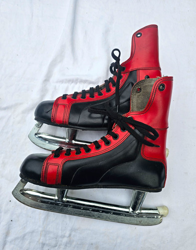 Vintage eishockey - vintage,