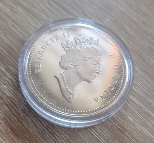 Kanadischer silberdollar 1993 - kanadischer,